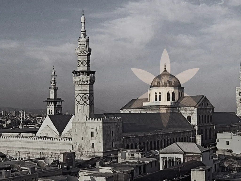 Al Banun – Fotografia fotografia 01